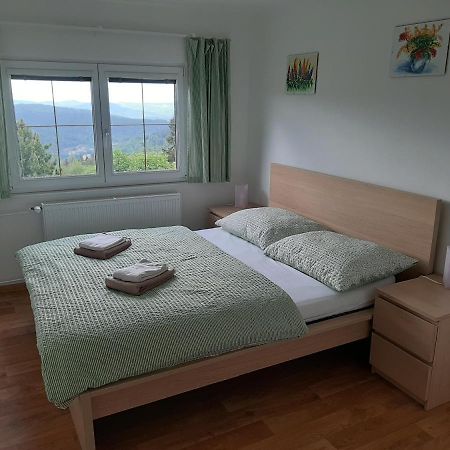 Villa Naproti Klinovci à Jáchymov Extérieur photo